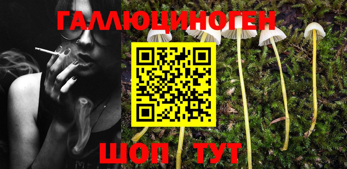 Ялуторовск  Псилоцибиновые грибы Psilocybe  Вход с VPN  Псилоцибиновые грибы MAGIC MUSHROOMS 